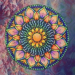 Meet your Posher, Bella